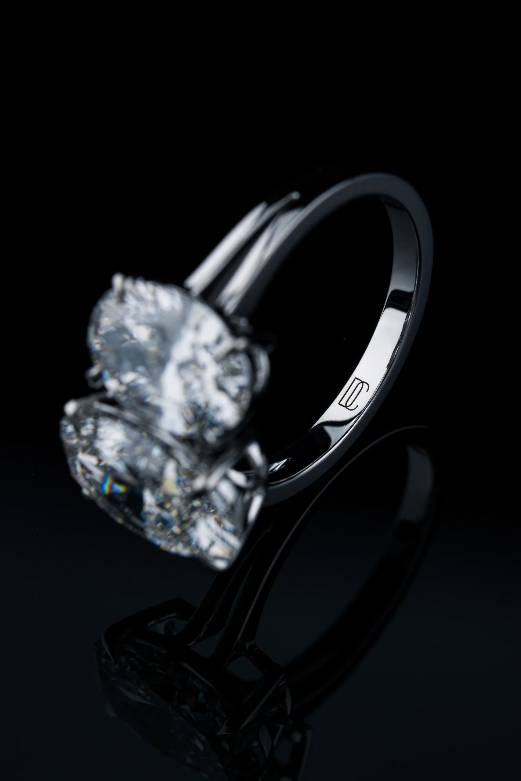 The ring turned in profile, the band curving away into darkness.