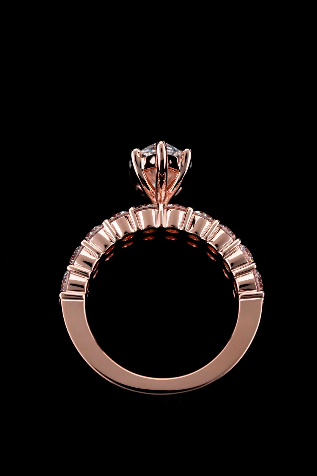 The ring seen head-on, its band a clean rose-gold circle.